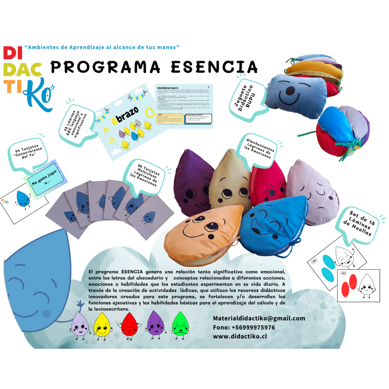 Programa Esencia